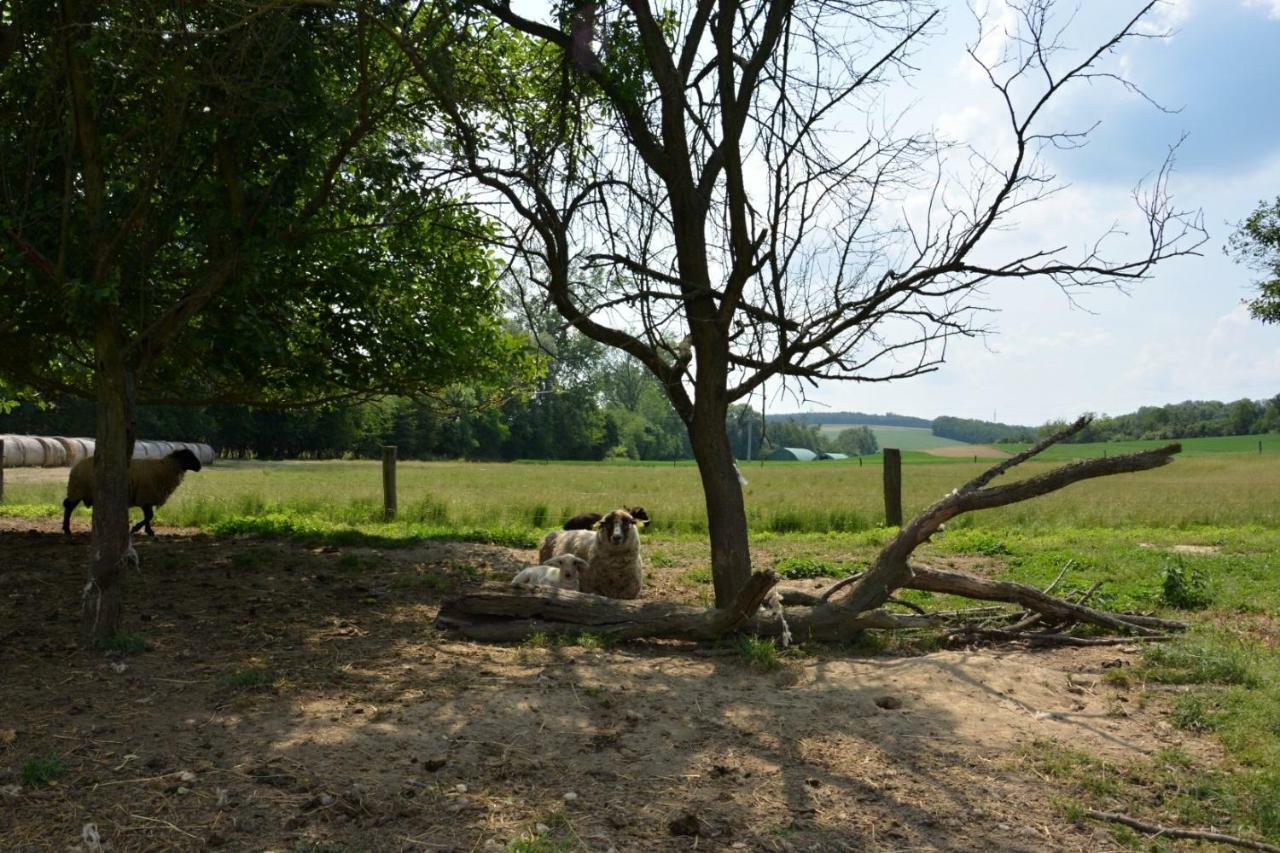 Na Zelenem Statku Hotell Rasovice  Exteriör bild