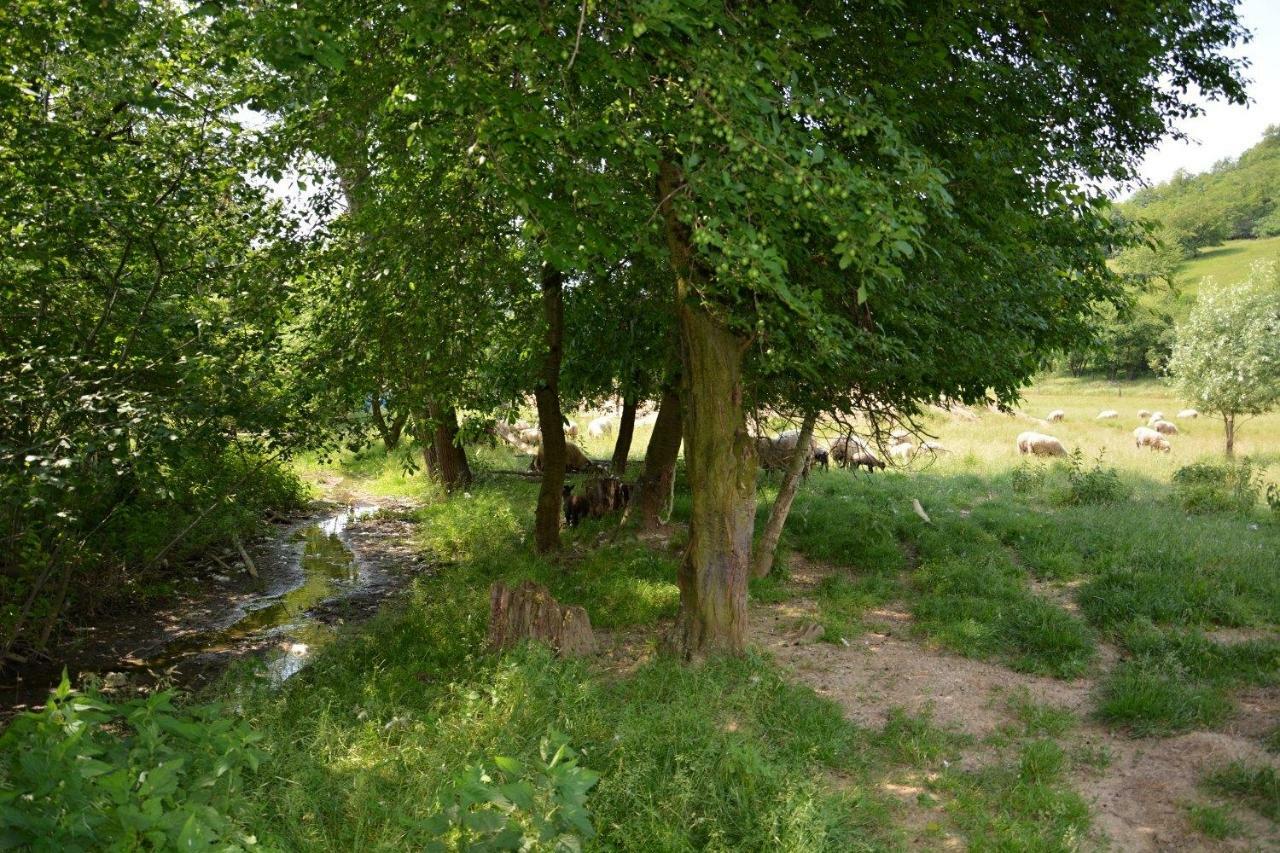 Na Zelenem Statku Hotell Rasovice  Exteriör bild